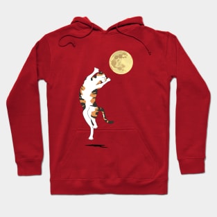 Calico Cat Moon Dance Hoodie